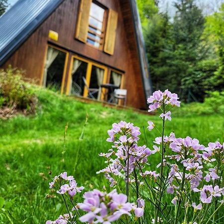 Chata Pod Tolstejnem Villa Jiřetín pod Jedlovou Exterior foto