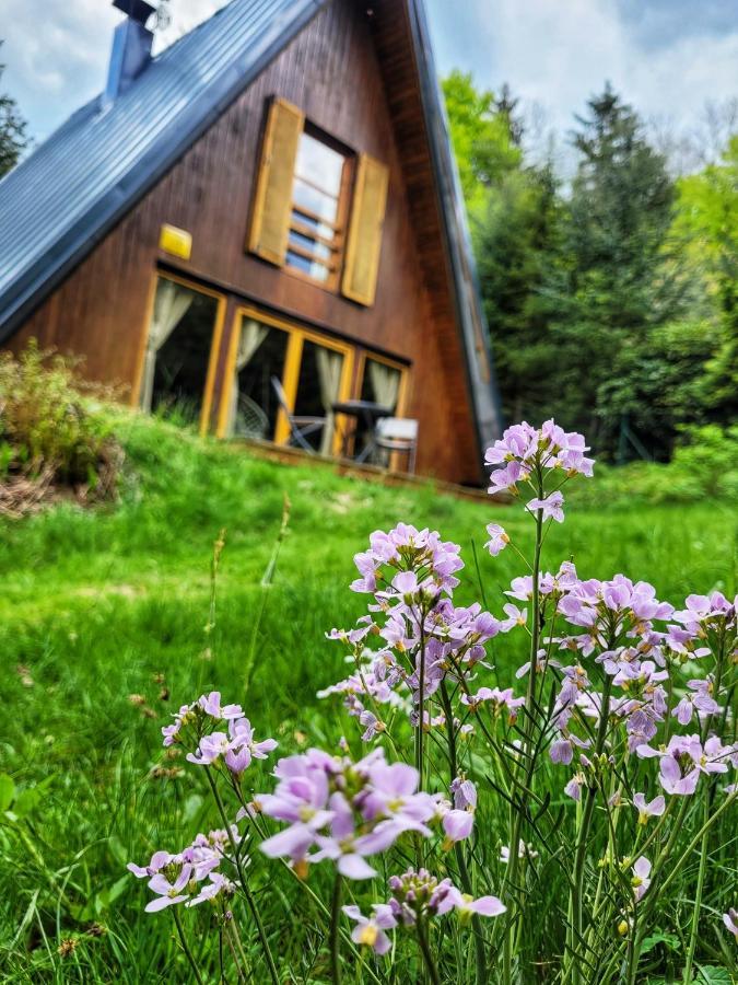 Chata Pod Tolstejnem Villa Jiřetín pod Jedlovou Exterior foto